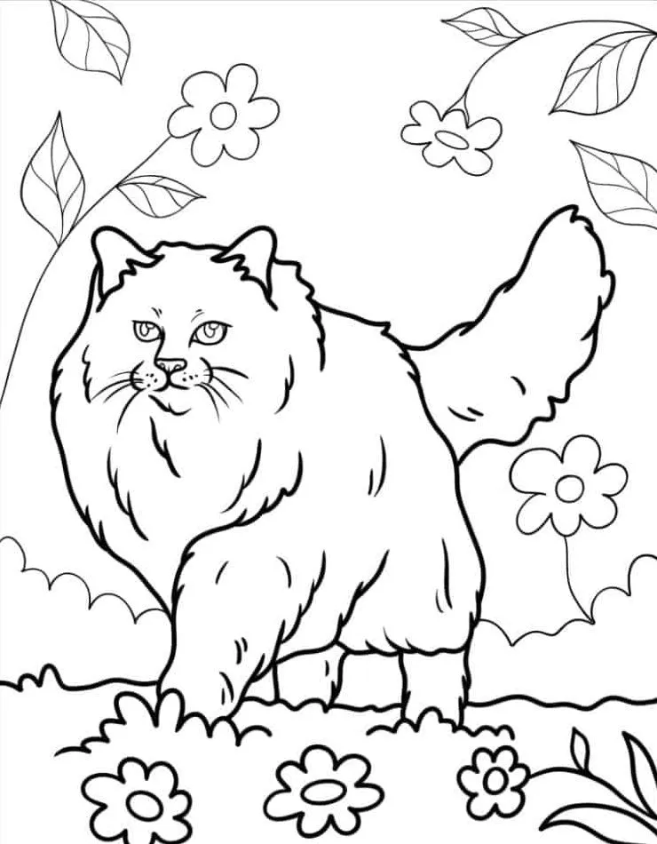 Printable Coloring Book Cat Coloring Pages Pdf - 6