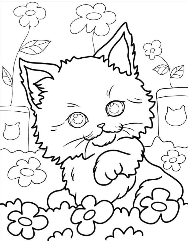 Printable Coloring Book Cat Coloring Pages Pdf - 13