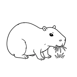Capybara Coloring Pages PDF - Free Printable Coloring Sheets - 8
