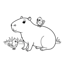 Capybara Coloring Pages PDF - Free Printable Coloring Sheets - 12