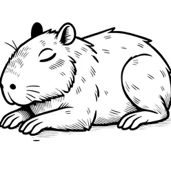 Capybara Coloring Pages PDF - Free Printable Coloring Sheets - 13