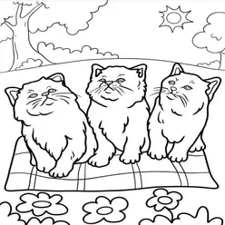 Printable Coloring Book Cat Coloring Pages Pdf - 30